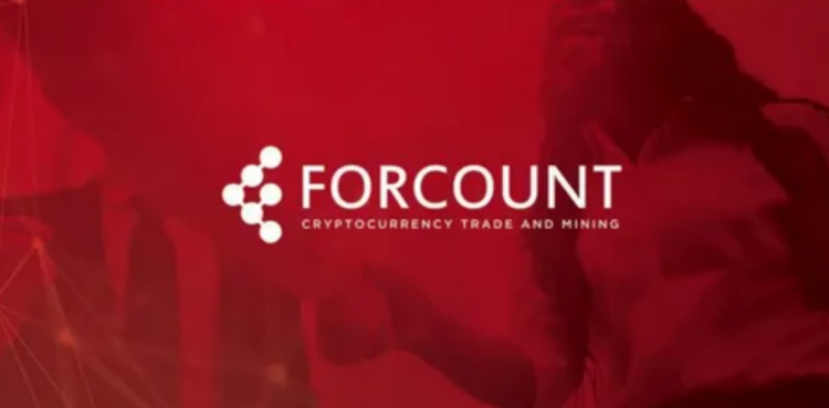 Соосновательницу криптопирамиды Forcount приговорили к 30 месяцам тюрьмы